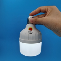 Emergency led bulb, T80 9W