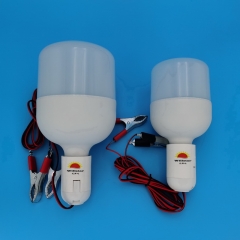 DC12V T80 LED Bulb, DC12V with milky white cover