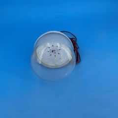 DC12V T100 LED Bulb with Transparet Cover