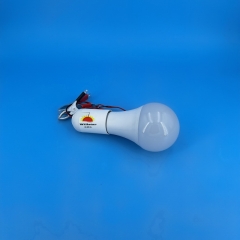 DC12V A70 LED Bulb with Milky White Cover