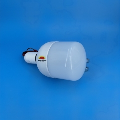 DC12V T100 LED Bulb with milky white cover
