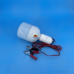 DC12V T80 LED Bulb, DC12V with milky white cover