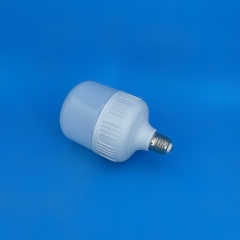 GFS T-Type LED Bulbs T100 20W