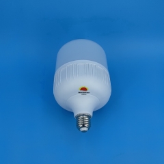 GFS T-Type LED Bulbs T120 25W