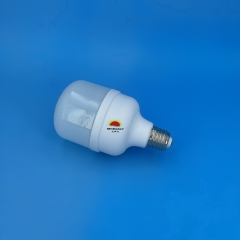 DL T-Type LED Bulbs T80 18W