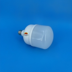 DL T-Type LED Bulbs T100 30W