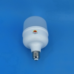 DL T-Type LED Bulbs T100 30W