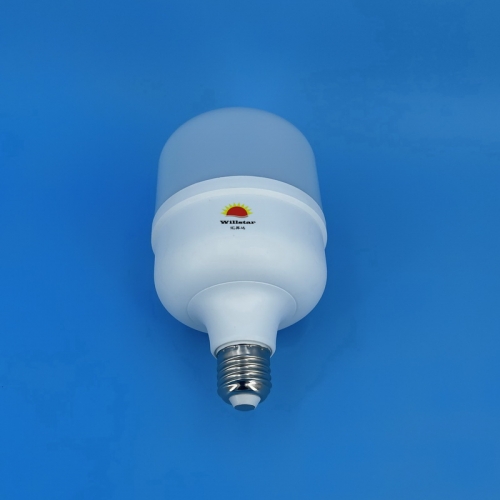 DL T-Type LED Bulbs T100 30W