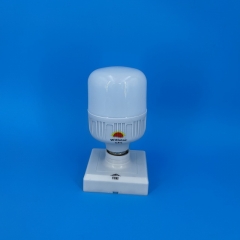 GFS T-Type LED Bulbs T80 15W