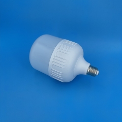 GFS T-Type LED Bulbs T120 25W