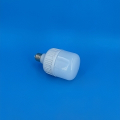 GFS T-Type LED Bulbs T80 15W