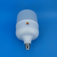 DL T-Type LED Bulbs T125 40W