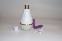 Led Dual battery emergency bulb Y3920G