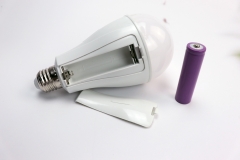 Led Single battery emergency bulb Y3910