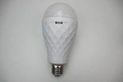 Led Dual battery emergency bulb Z15