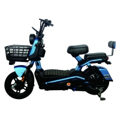 Electric bicycle TY198