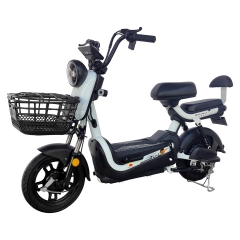 Electric bicycle TY148