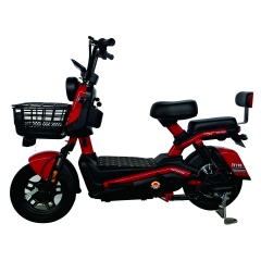 Electric bicycle TY198