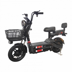 Electric bicycle TY48