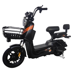 Electric bicycle TY638