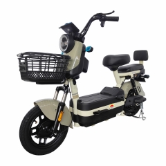 Electric bicycle TY78