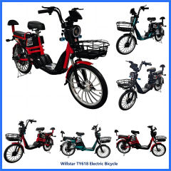 Electric bicycle TY618