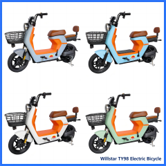 Electric bicycle TY98