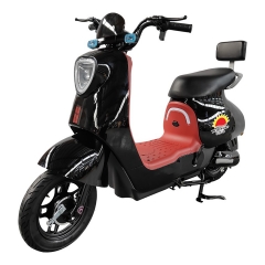Electric bicycle TY608