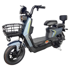 Electric bicycle TY648