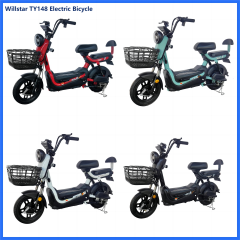 Electric bicycle TY148