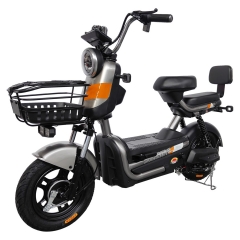 Electric bicycle TY658