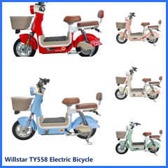 Electric bicycle TY558