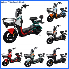 Electric bicycle TY638