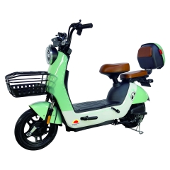 Electric bicycle TY168