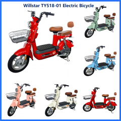 Electric bicycle TY518