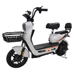 Electric bicycle TY108