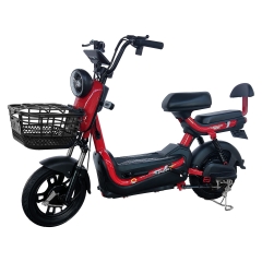 Electric bicycle TY148