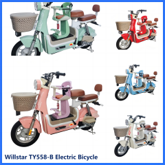 Electric bicycle TY558