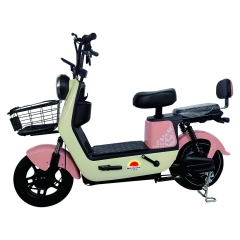 Electric bicycle TY228