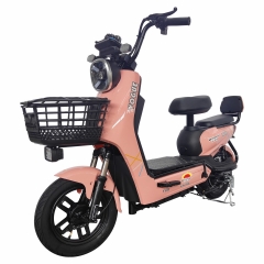 Electric bicycle TY88
