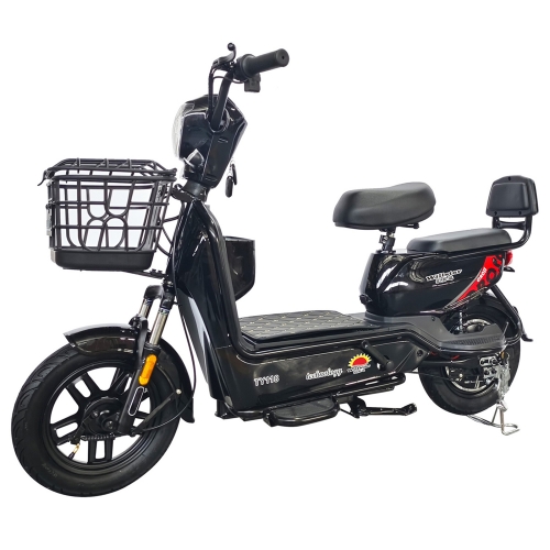 Electric bicycle TY118