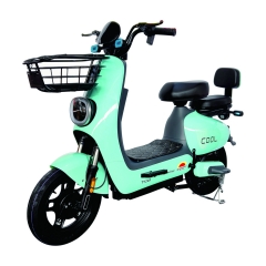 Electric bicycle TY248