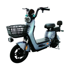 Electric bicycle TY238