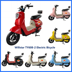 Electric bicycle TY608