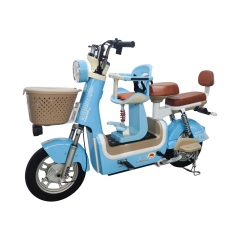 Electric bicycle TY558