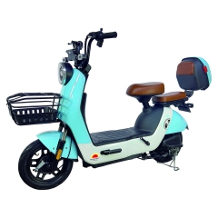 Electric bicycle TY168