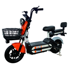 Electric bicycle TY48