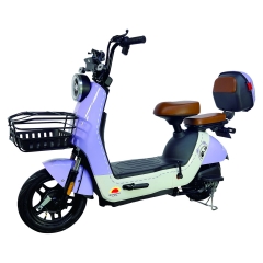 Electric bicycle TY168