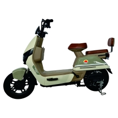 Electric bicycle TY188