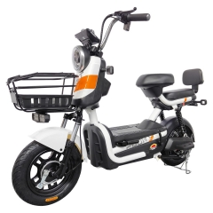 Electric bicycle TY658